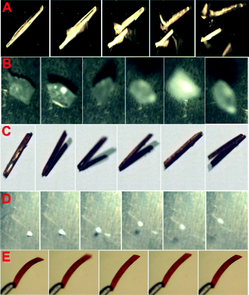 Light- and heat-induced mechanical effects in single crystals