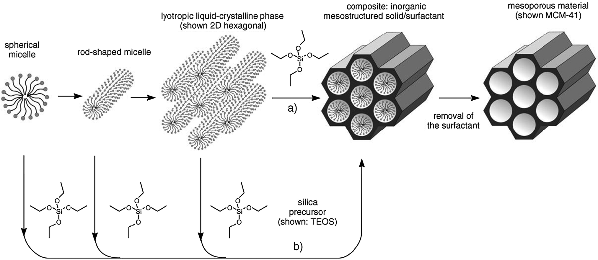 chemical digestion