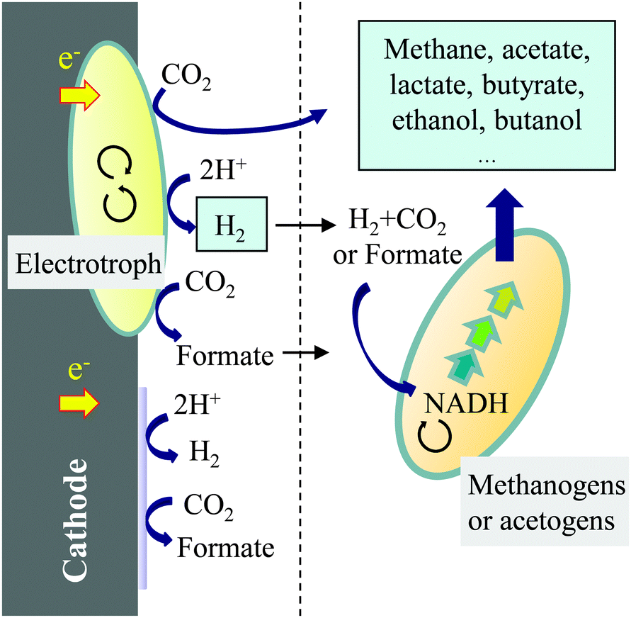 metabolic practical considerations microbial electrosynthesis metabolic practical considerations microbial electrosynthesis