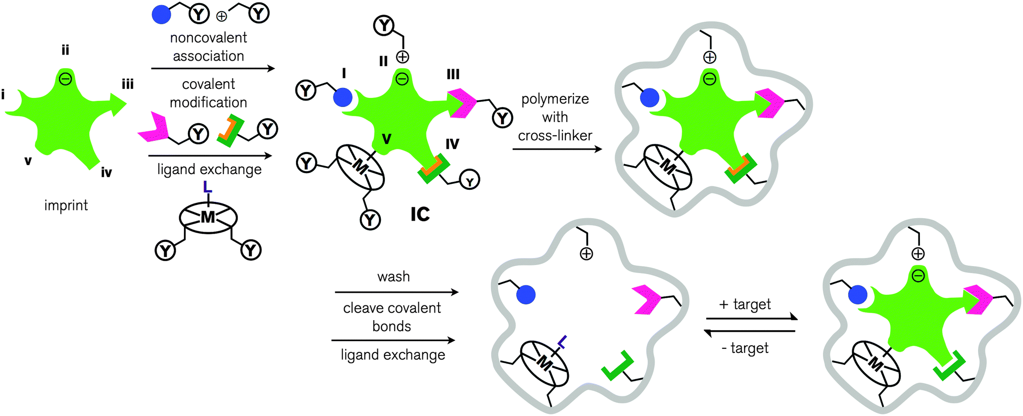 Molecular Imprinting