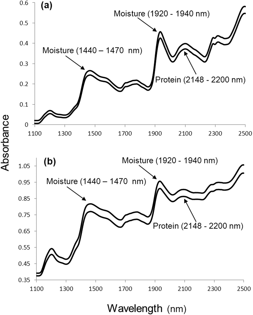 Nearinfrared spectroscopy and hyperspectral imaging nondestructive
