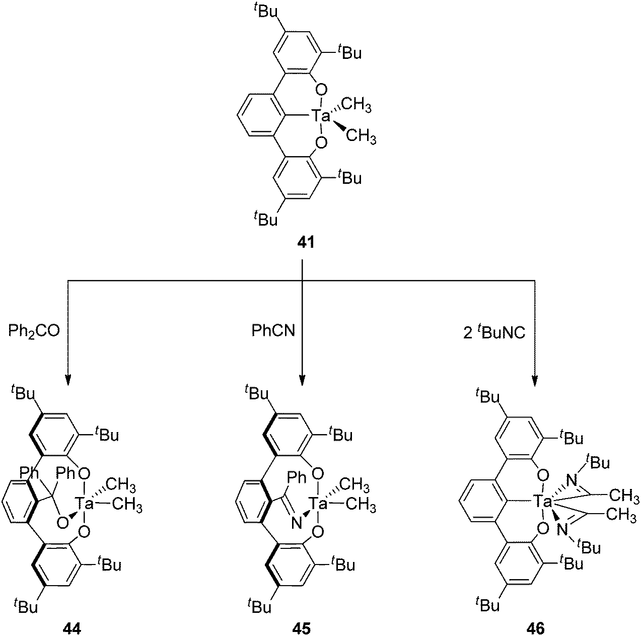 sigma bond metathesis c-h activation sigma bond metathesis c-h activation