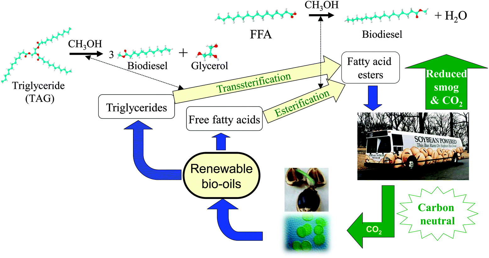 Phd thesis biodiesel