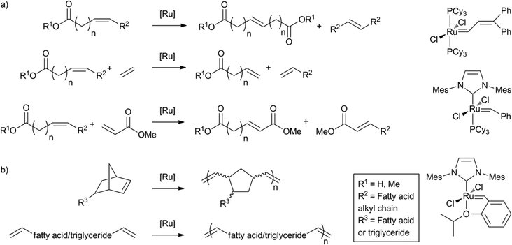 cross metathesis acrylate cross metathesis acrylate