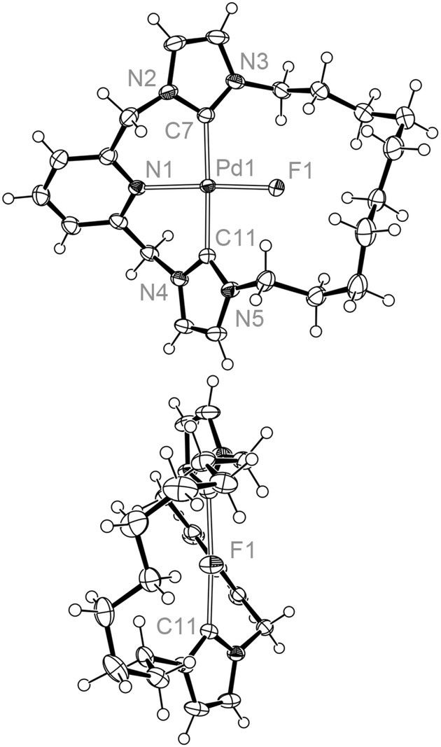 نكت+اخت+زوجتي Synthesis, structure and dynamics of NHC-based palladium macrocycles ...