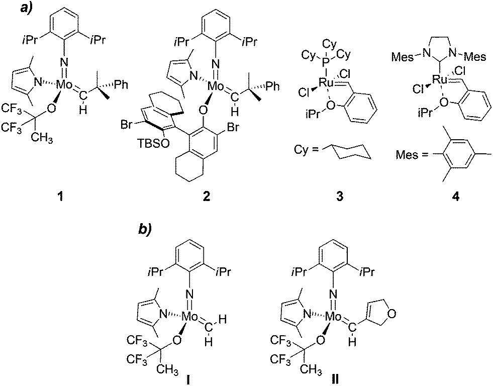 ene yne metathesis mechanism Studies on the mechanism of enyne metathesis steven thomas diver, suny at buffalo and jerome b keister, suny at buffalo mechanism of ene-yne metathesis. ene yne metathesis mechanism Studies on the mechanism of enyne metathesis steven thomas diver, suny at buffalo and jerome b keister, suny at buffalo mechanism of ene-yne metathesis.