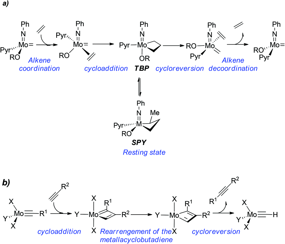 enyne metathesis enyne metathesis