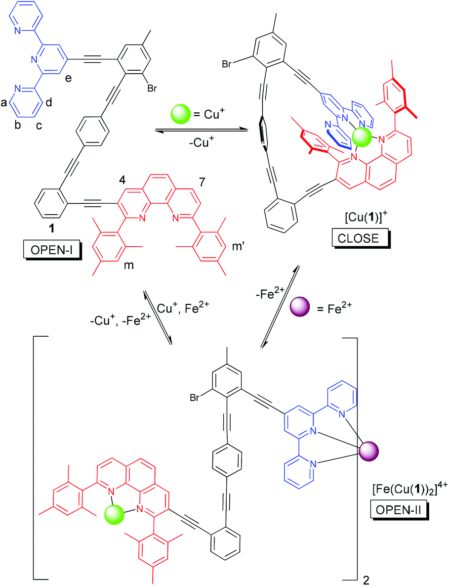 Nanoswitch mechanism