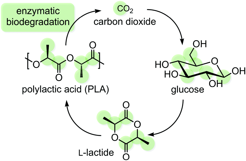 synthesise polylactic acid synthesise polylactic acid