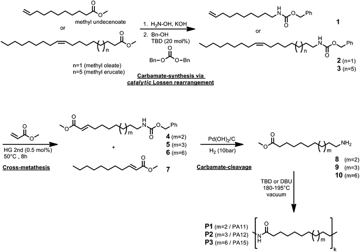 cross metathesis acrylate cross metathesis acrylate