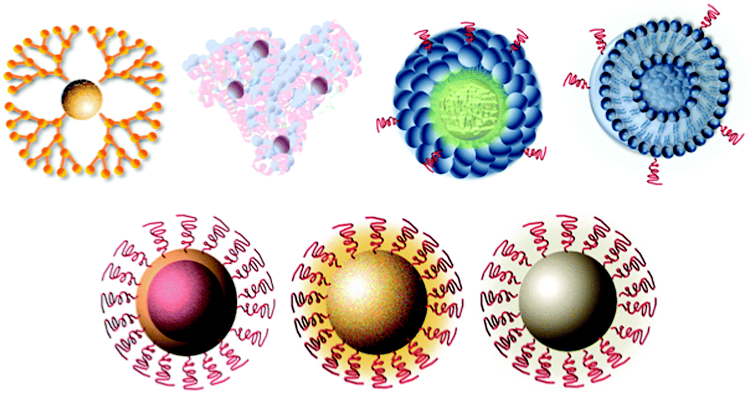 Nanoparticles and their applications in cell and molecular biology Integrative Biology (RSC