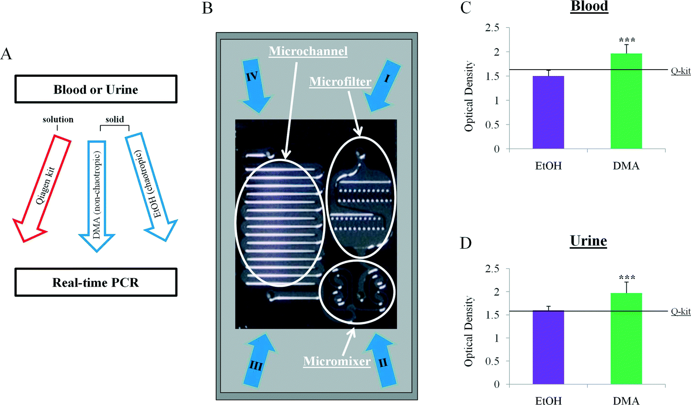 Solid phase nucleic acid extraction technique in a microfluidic chip