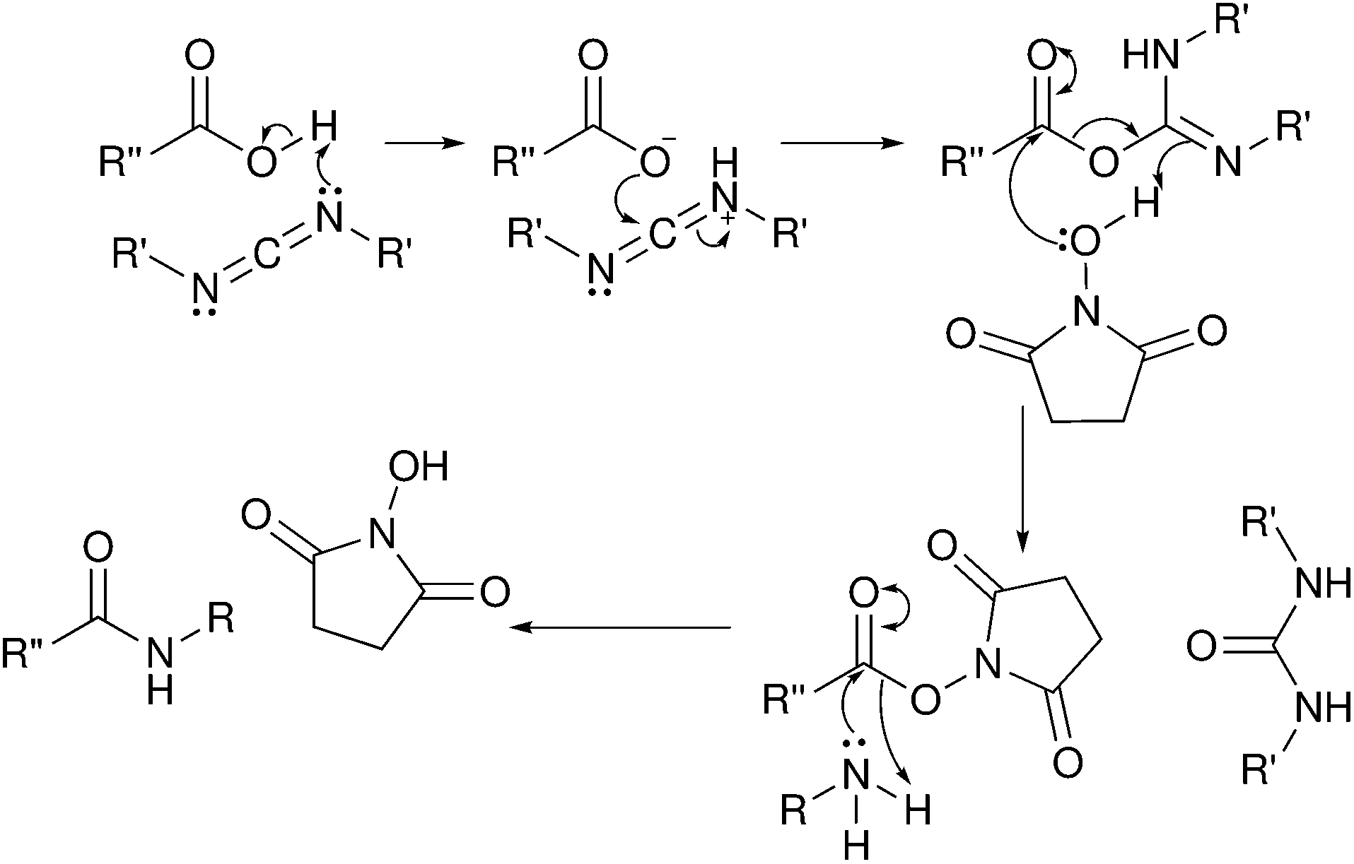 EDC/NHS coupling chemistry? ResearchGate