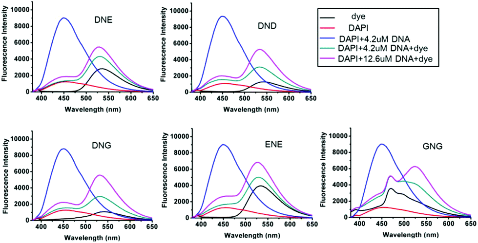 dapi excitation