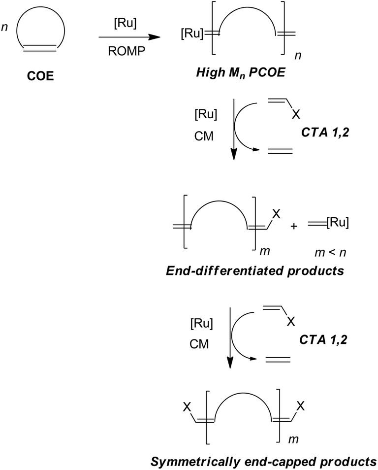 ring opening metathesis polymerization review 2 1 thermodynamics and kinetics of ring-opening polymerization where m denotes the active species, and k p and k d are the rate constants of propa. ring opening metathesis polymerization review 2 1 thermodynamics and kinetics of ring-opening polymerization where m denotes the active species, and k p and k d are the rate constants of propa.