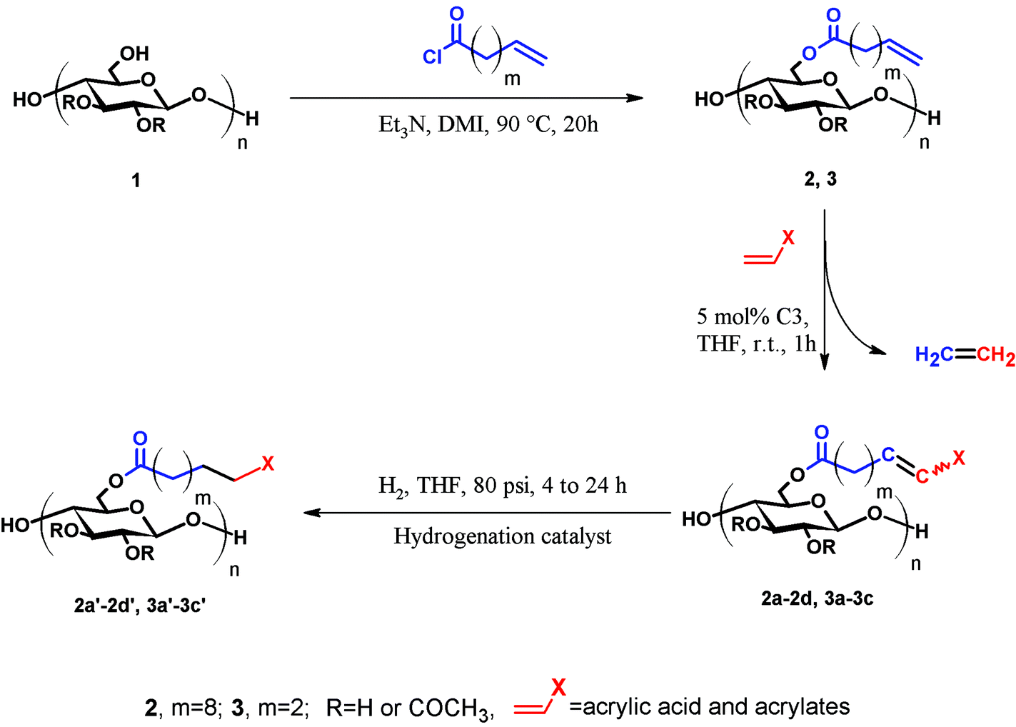 Cross metathesis acrylate