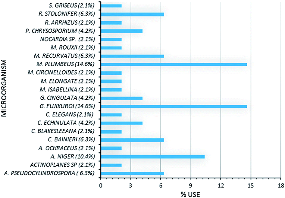 Dissertation drug metabolism picture