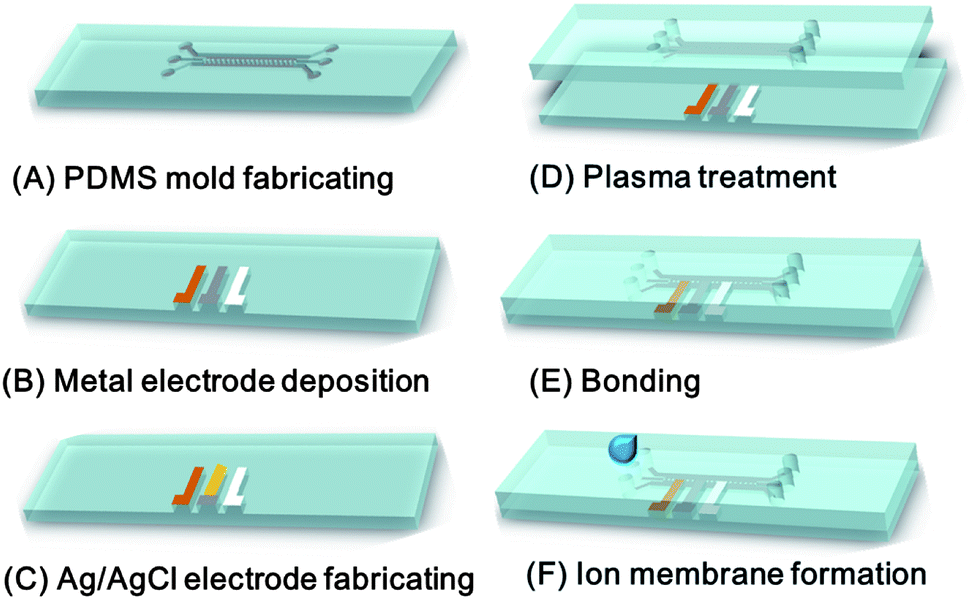 the details for fabricating the microchannels can be found in