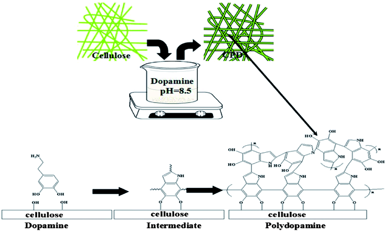 Polydopaminecoated cellulose microfibrillated membrane as high