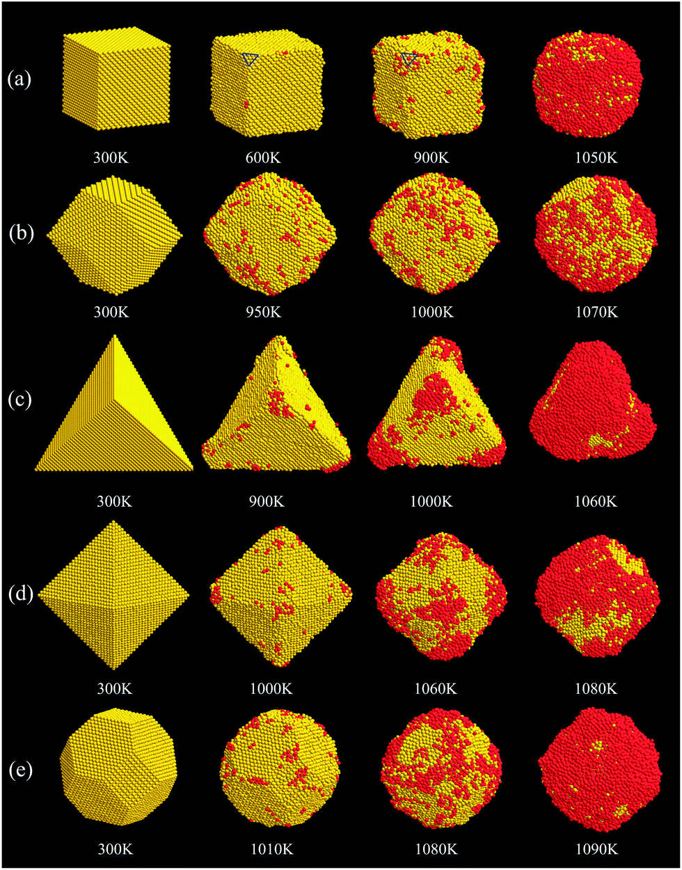 Singlecrystalline and multipletwinned gold nanoparticles an