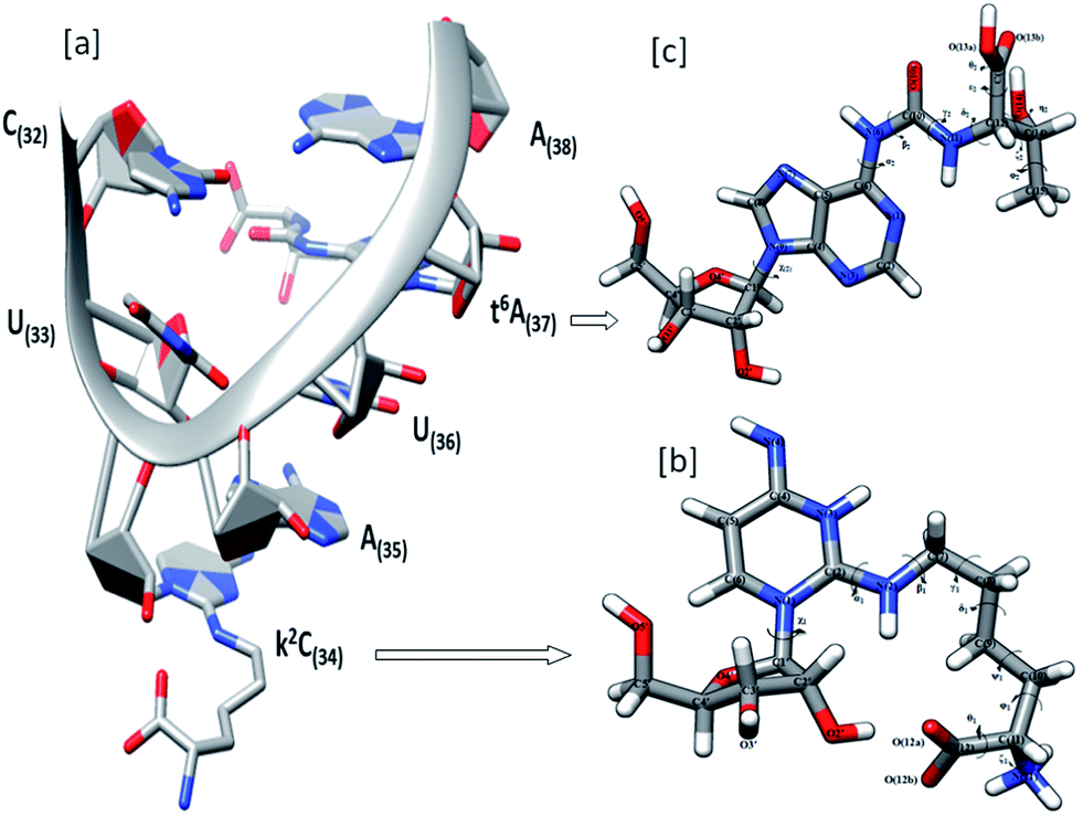 Structural Significance Of Modified Nucleosides K2c And T6a Present In The Anticodon Loop Of