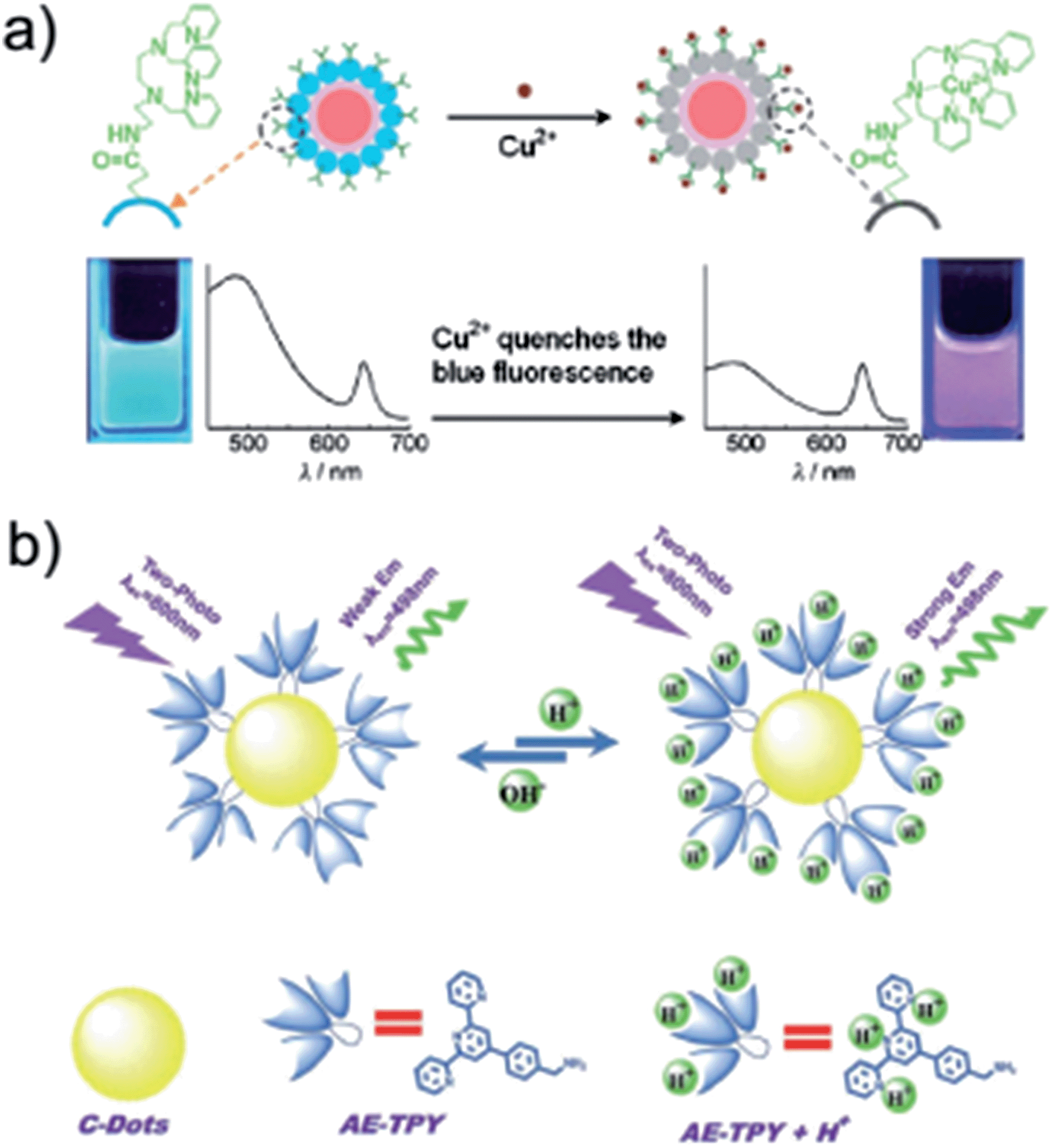 Bioimaging based on fluorescent carbon dots RSC Advances (RSC