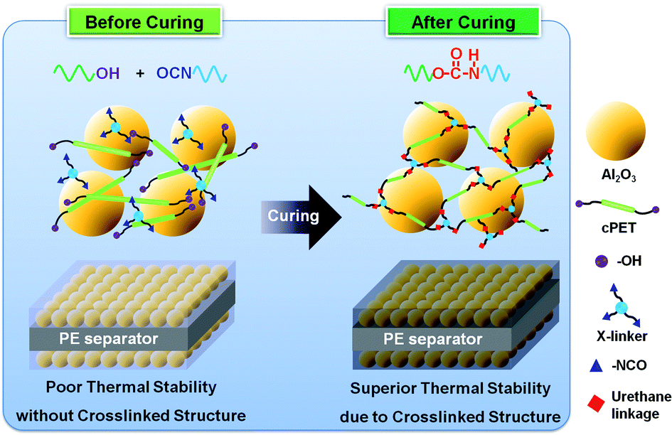 Curable polymeric binderceramic compositecoated superior heatresistant polyethylene separator