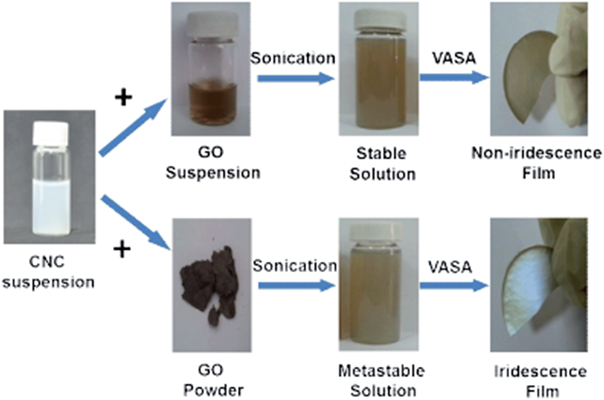 Tunable selfassembly structure of graphene oxide/cellulose nanocrystal