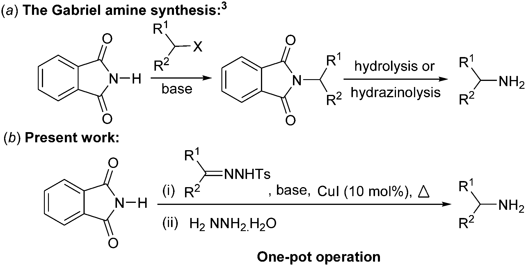 Amine structure image