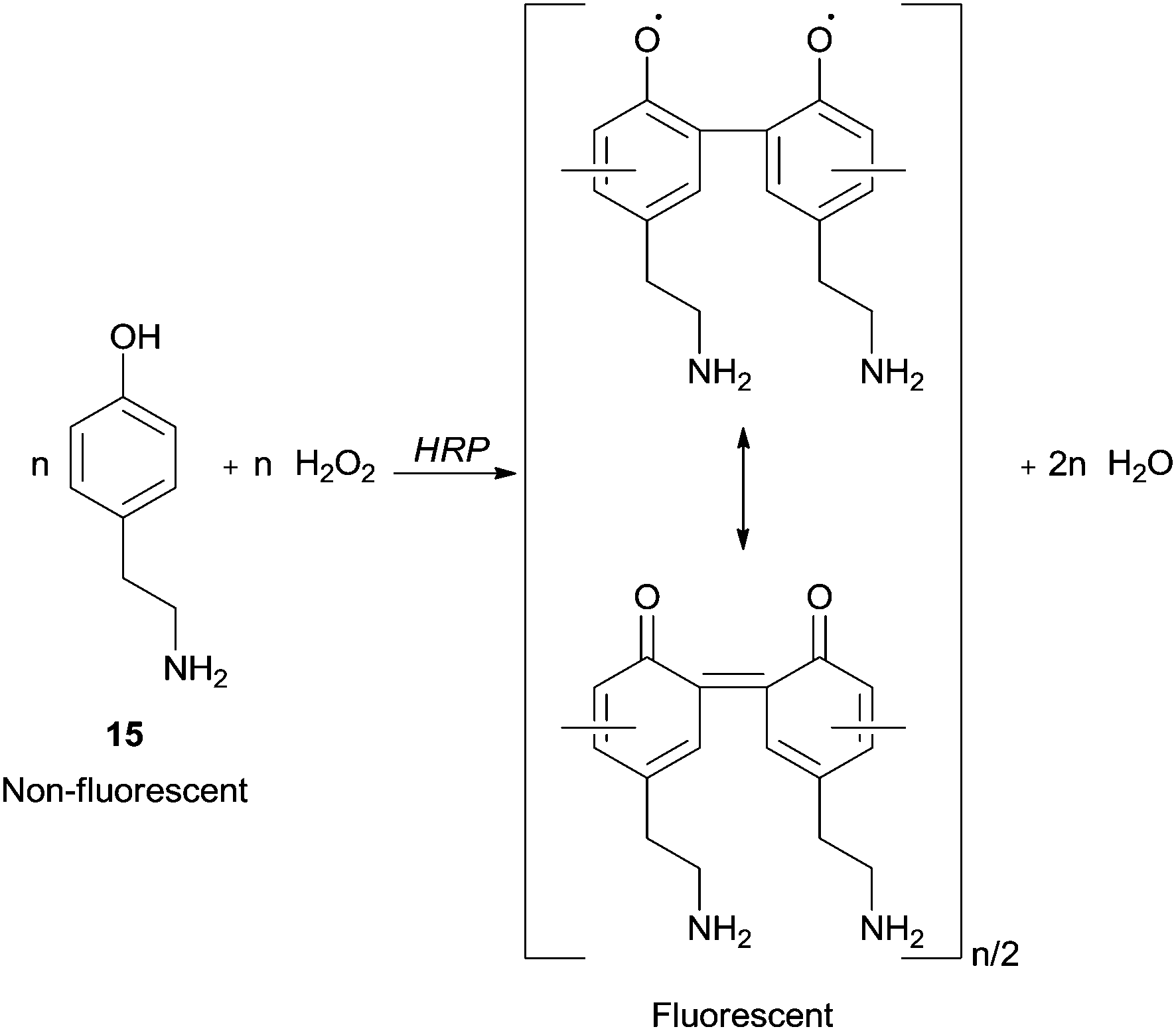 Horseradish peroxidase (HRP) as a tool in green chemistry RSC