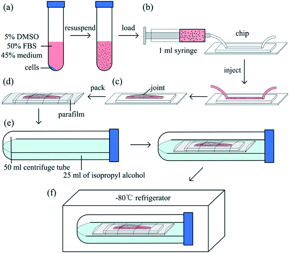 Onchip direct freezing and thawing of mammalian cells RSC Advances