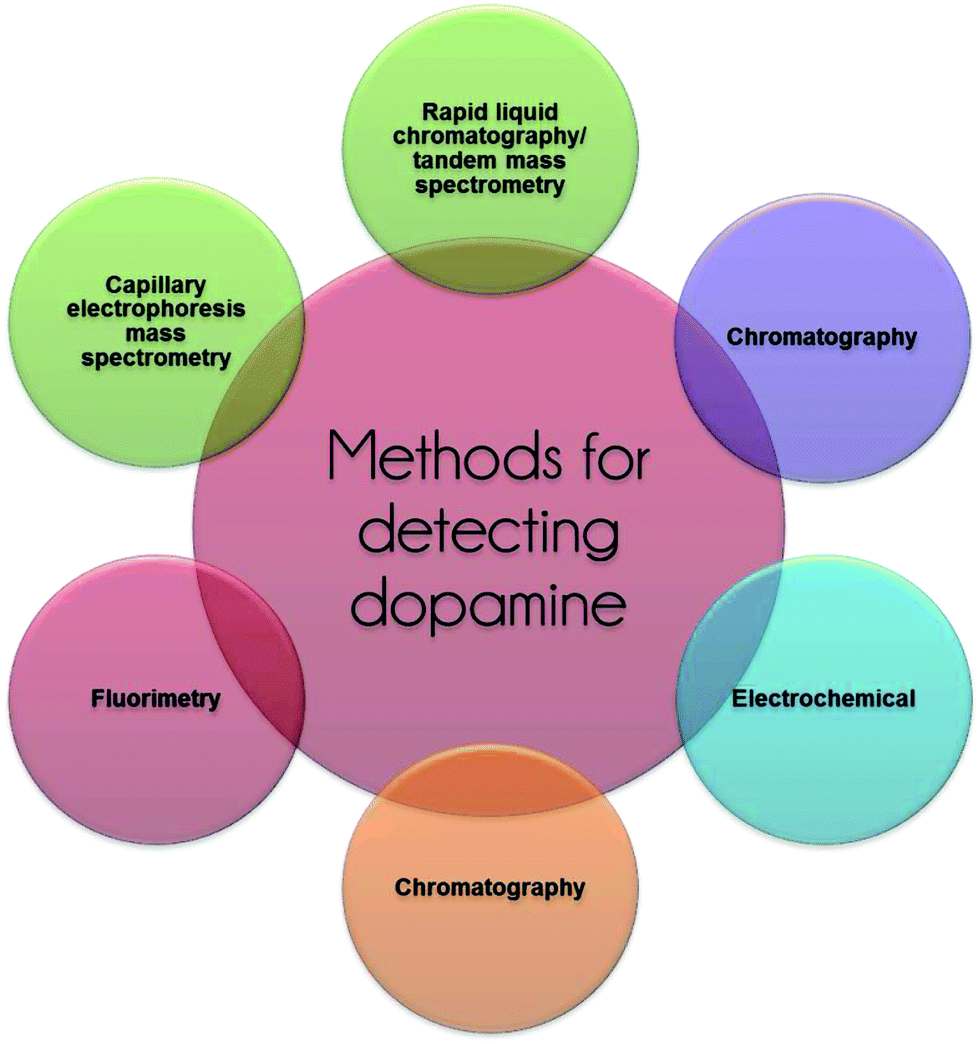 Graphene and its material based electrochemical sensor