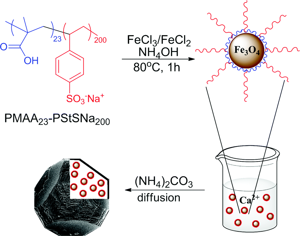 Hydrothermal synthesis of monodisperse magnetite nanoparticles image