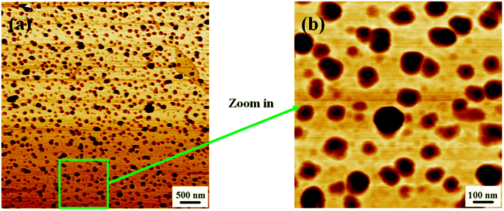 New Understanding Of Microstructure Formation Of The Rubber Phase In