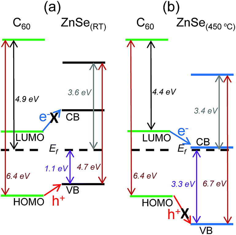 Organic photovoltaic cells utilising ZnO electron extraction layers produced through thermal
