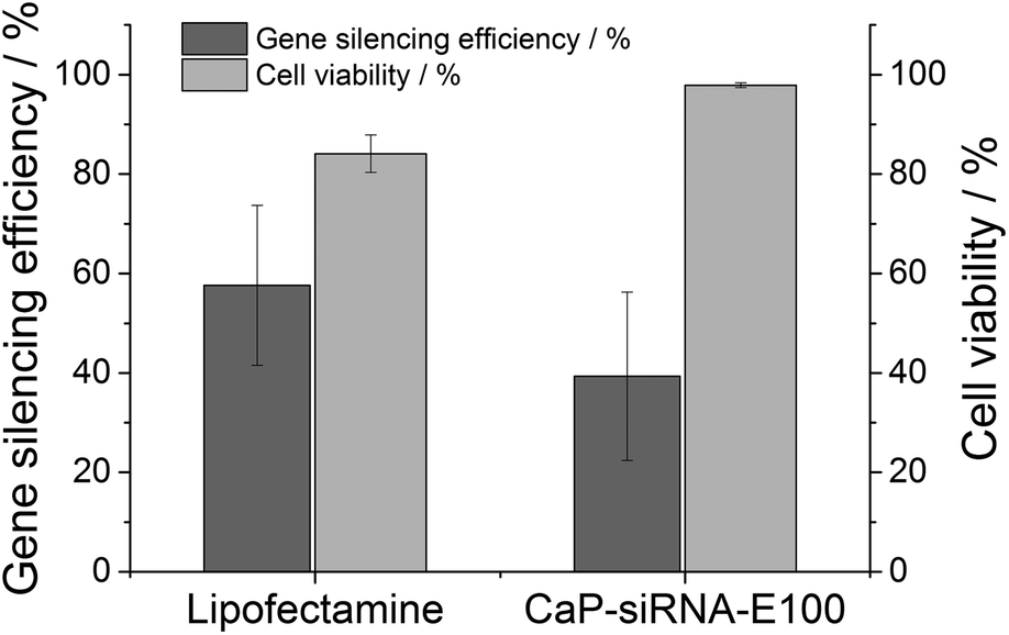 gene-silencing experiments on hela-egfp cells showed that