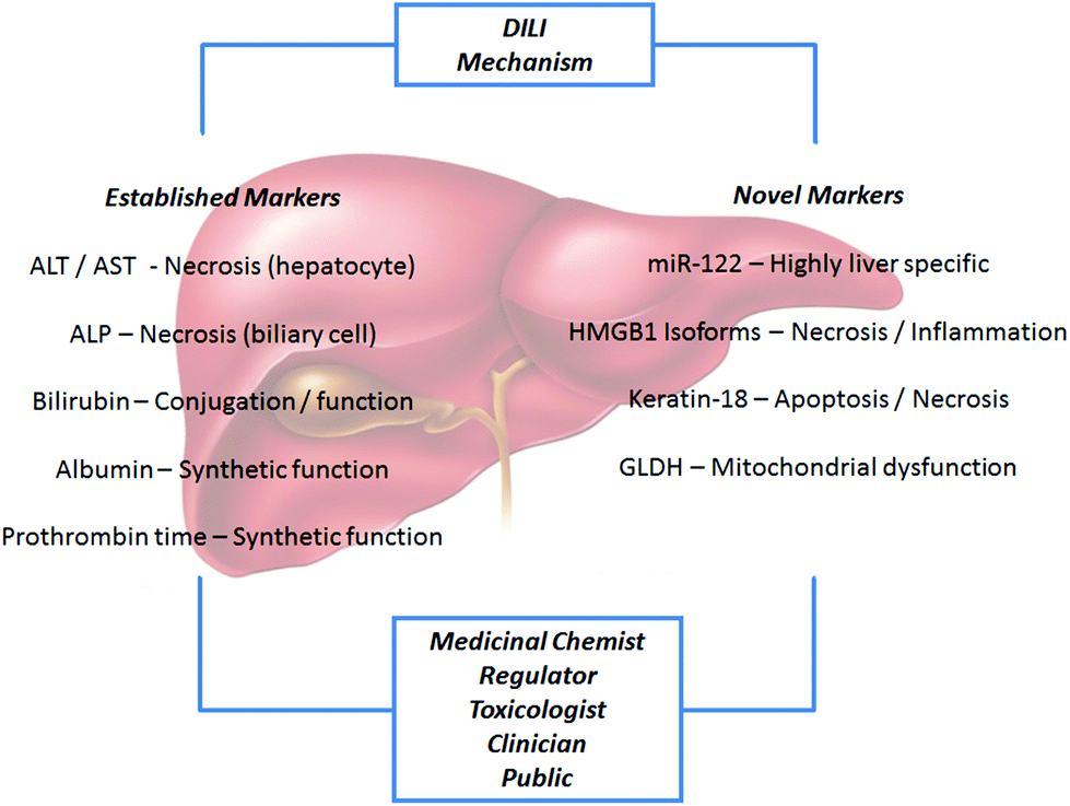 paracetamol mechanism of action pdf