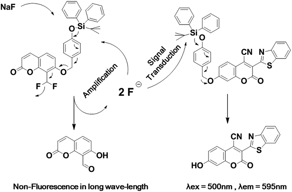 Design and synthesis of ultrasensitive offon fluoride detecting