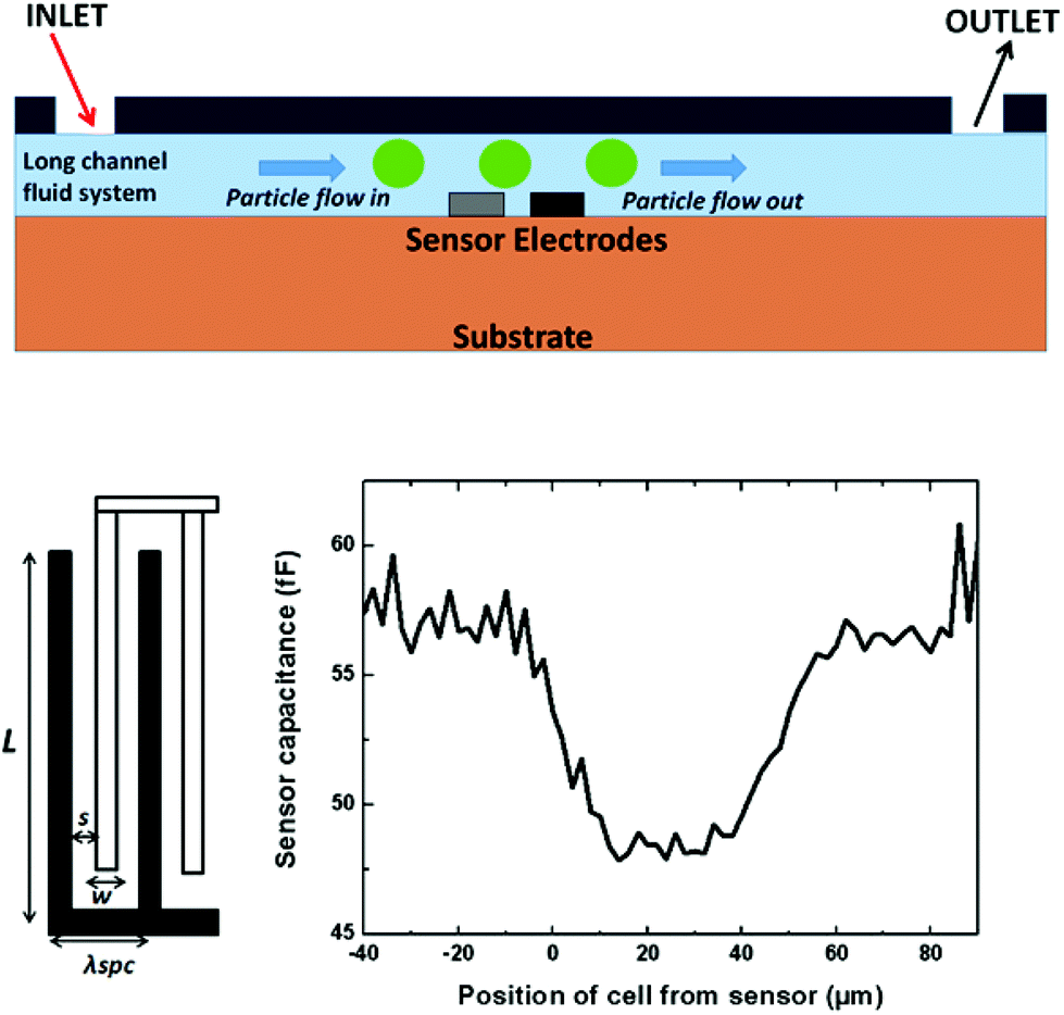 Selfcalibrating highly sensitive dynamic capacitance sensor towards