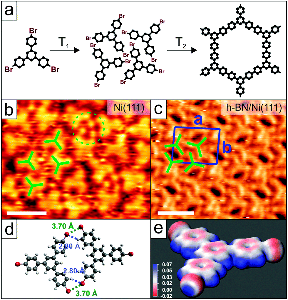 download adsorbed monolayers on solid surfaces