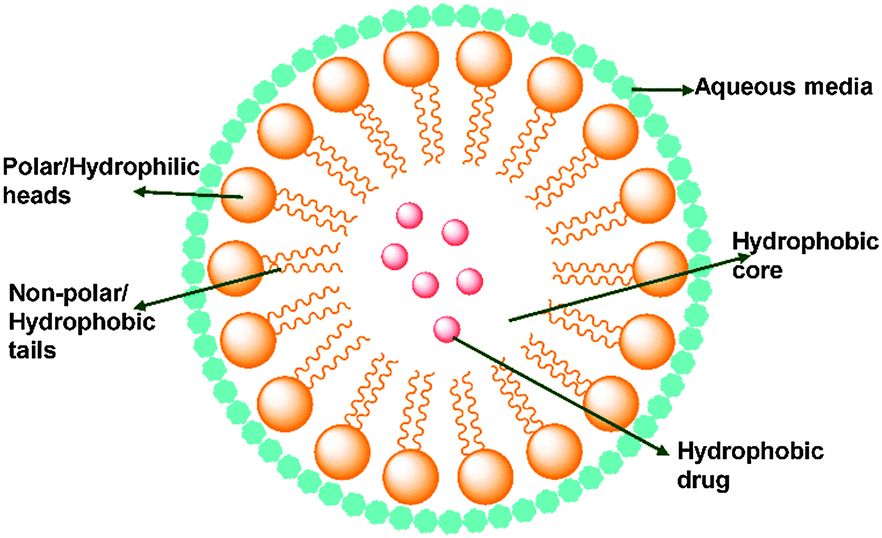 in aqueous solution, the hydrophobic parts of the micelle