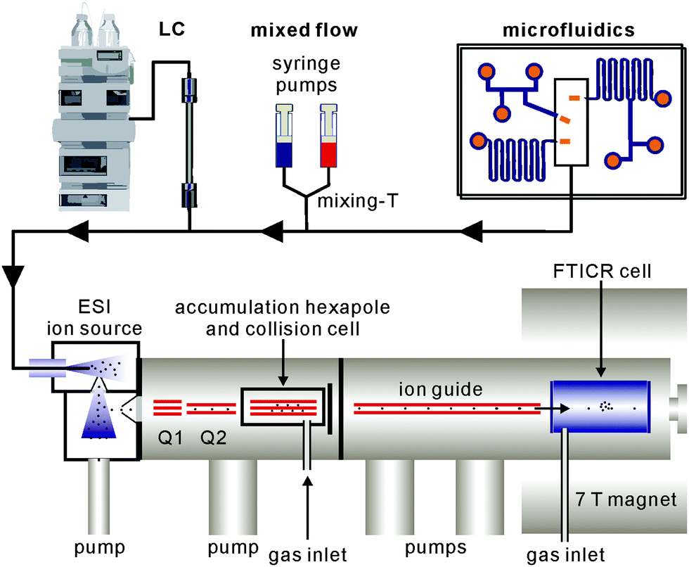 phase1,phaseplane gas-phase chemistry of molecular containers