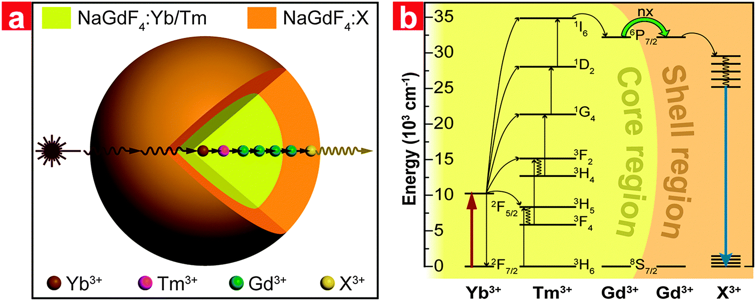 Excitation energy migration dynamics in upconversion nanomaterials