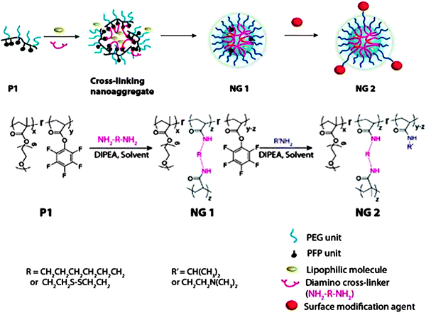 alginate properties and biomedical applications alginate properties and biomedical applications