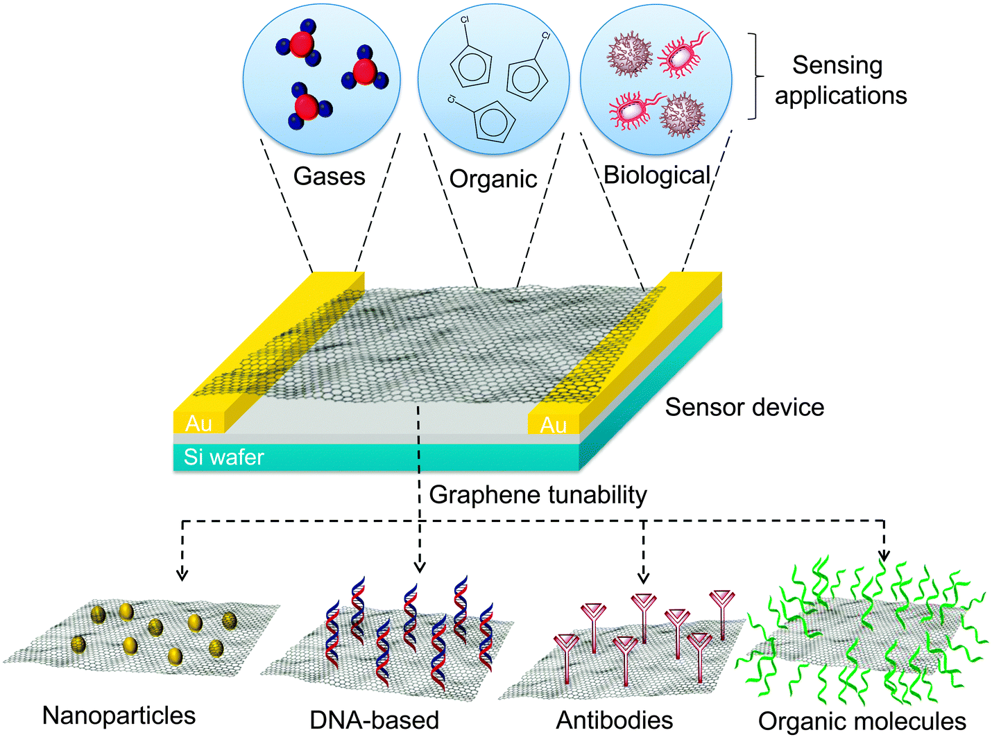 Environmental applications of graphenebased nanomaterials Chemical
