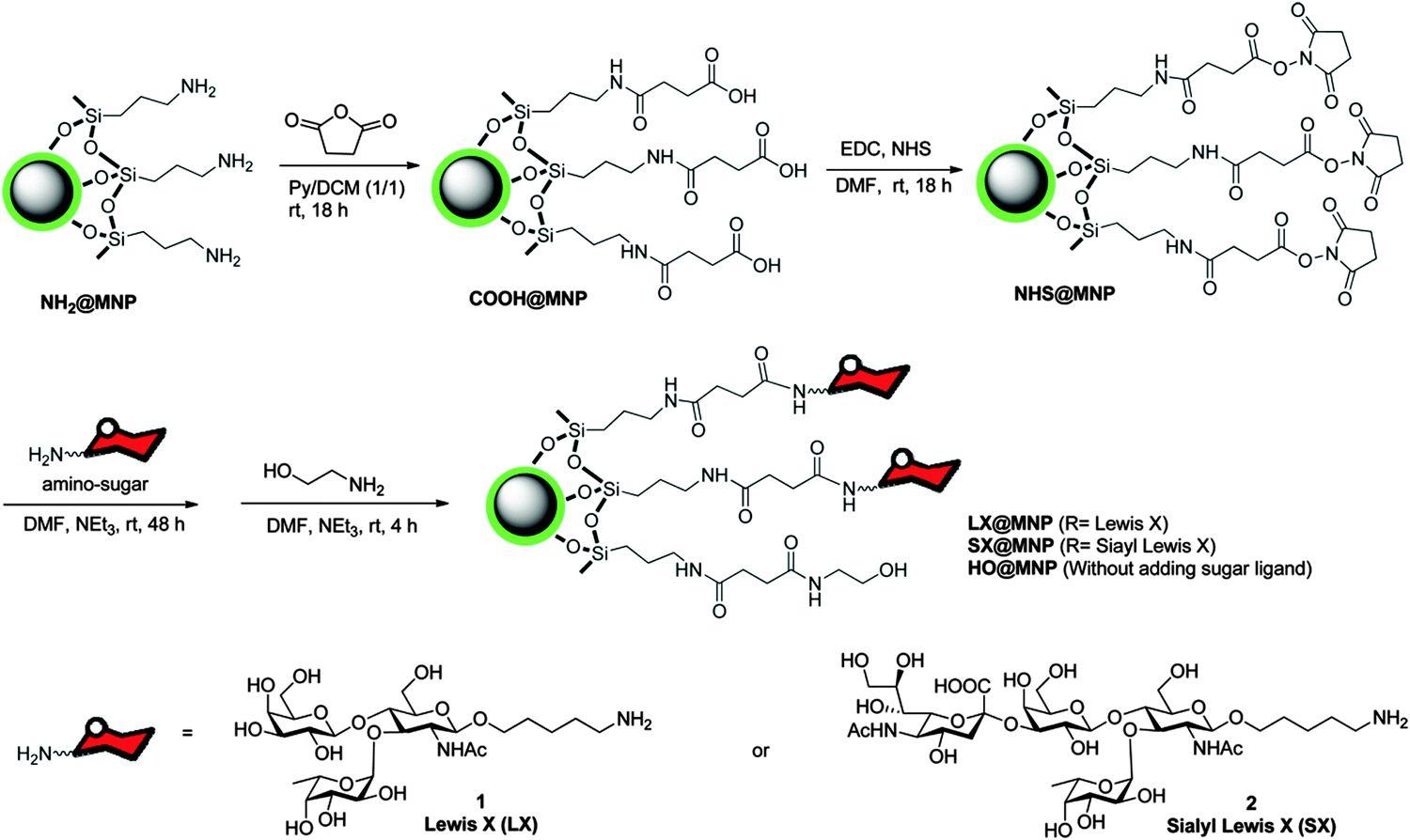 silica nanoparticles dissertation