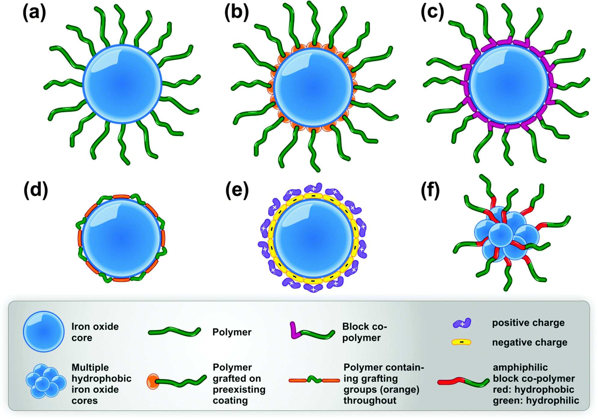 Design considerations for the synthesis of polymer coated iron oxide