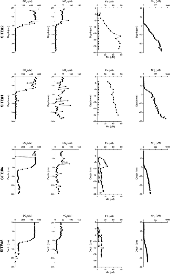 image file: c4em00470a-f3.tif