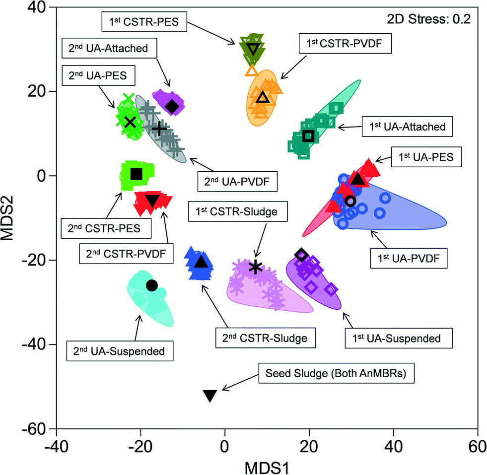 graphically,scrutiny sludge, and ua membrane biofilms are represented graphically in