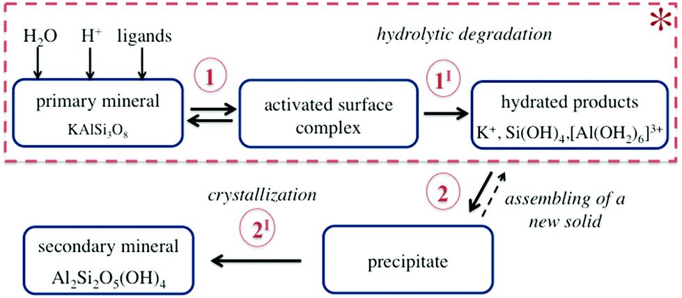hydrated,habitually contained in the fluid determine both the complex and hydrated